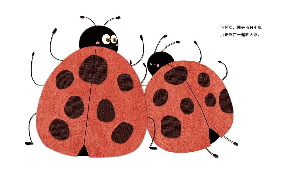 河西画册设计